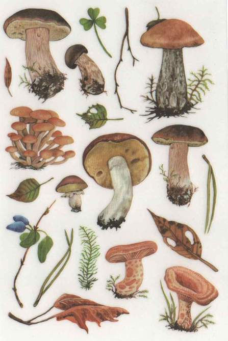 S24-72 Rub-on sticker mushroom (2 sheets)