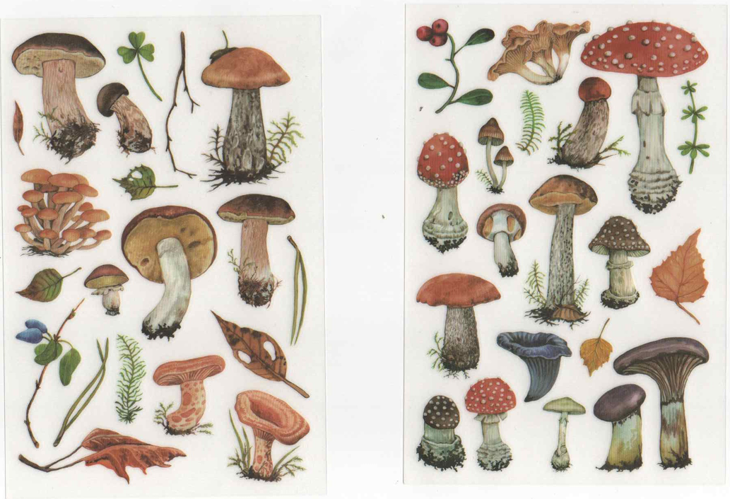 S24-72 Rub-on sticker mushroom (2 sheets)