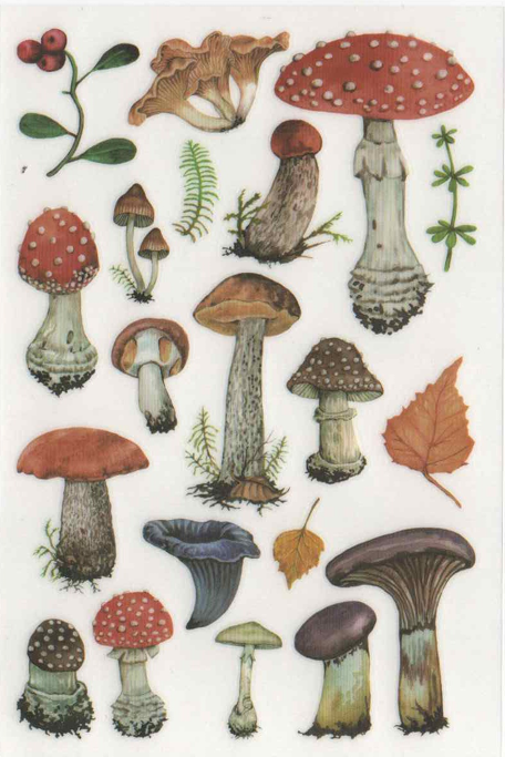 S24-72 Rub-on sticker mushroom (2 sheets)