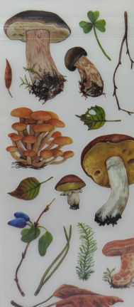 S24-72 Rub-on sticker mushroom (2 sheets)